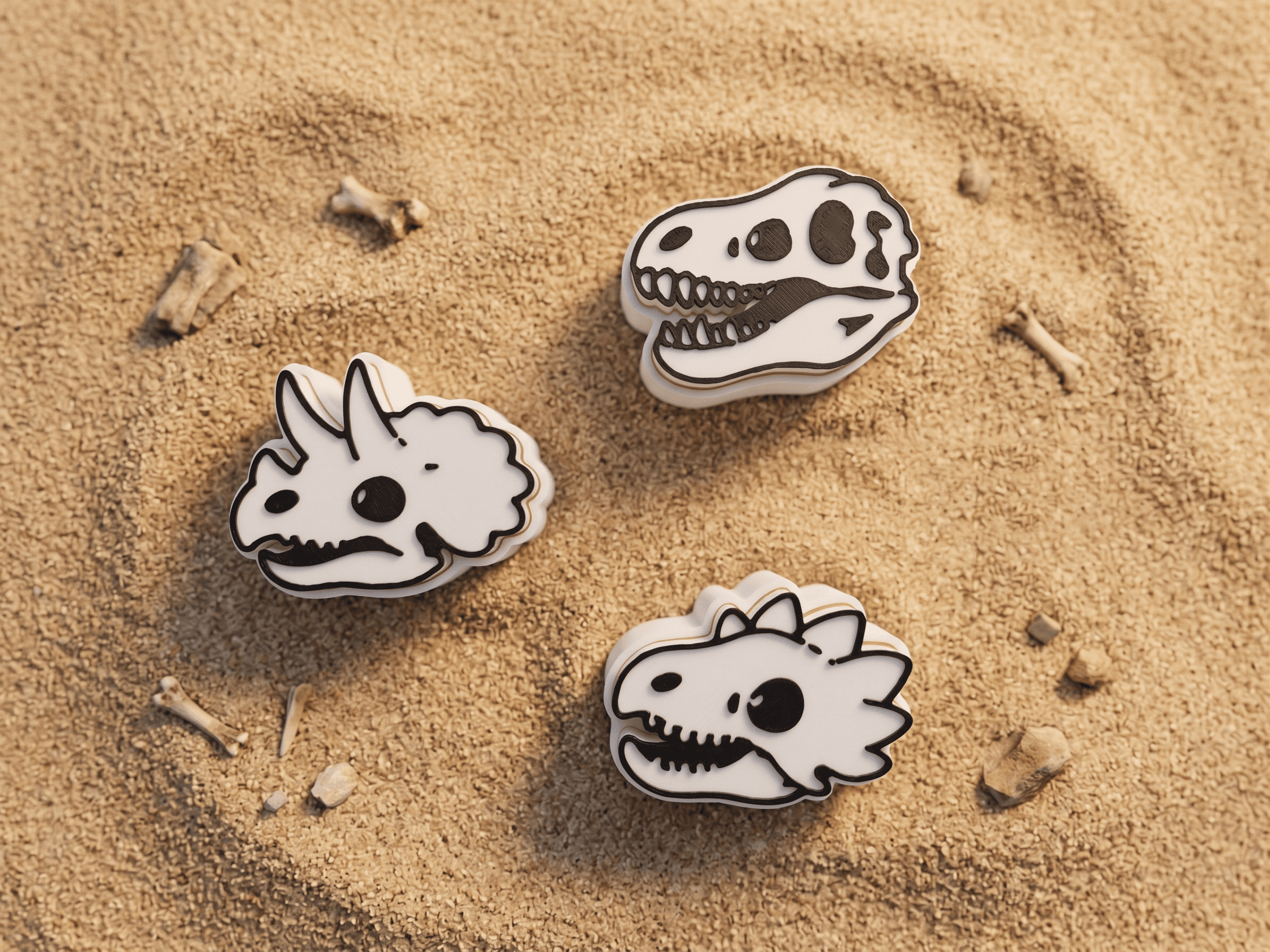 Fossils